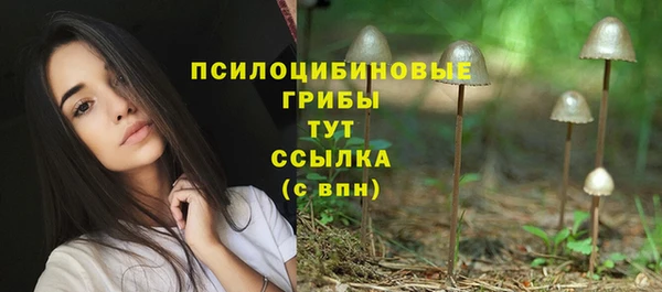 твердый Козловка