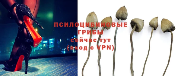 мет Кодинск